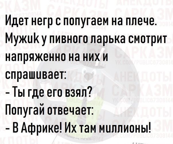 Идет негр с попугаем на плече МужиКу пивного ларька смотрит напряженно на них и спрашивает Ты где его взял Попугай отвечает В Африке Их там милпионы