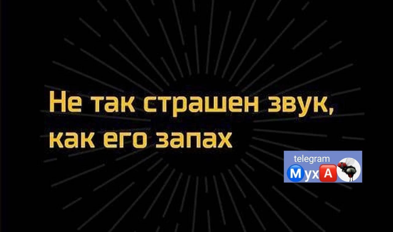 Не так страшен звук как ЕГО запах _