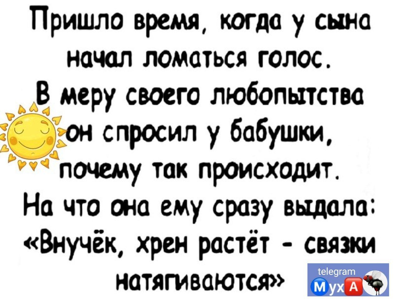 Пришло время когда у сына начал ломаться голос 8 меру своего любопытства он спросил у бабушки пишу так происходит На что она ему сразу выдала Внучёк хрен растёт связки натягиваются Тз