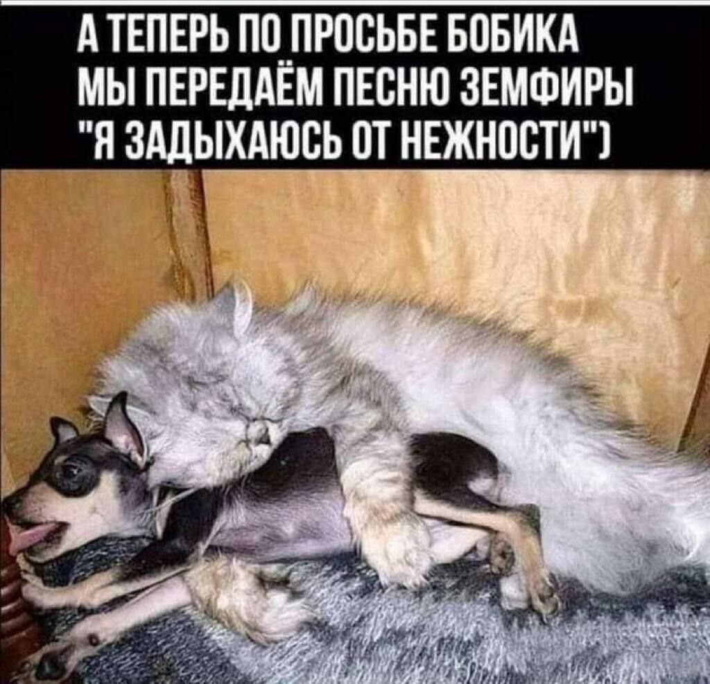 А ТЕПЕРЬ ПП ПРПЕЬБЕ БОБИКА МЫ ПЕРЕЛАЁМ ПЕСНЮ ЗЕМФИРЫ Я ЗддЫХАЮБЬ ПТ НЕЖНОСТИ