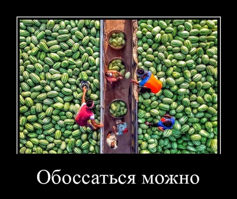 __ и Л о мй Обоссаться можно