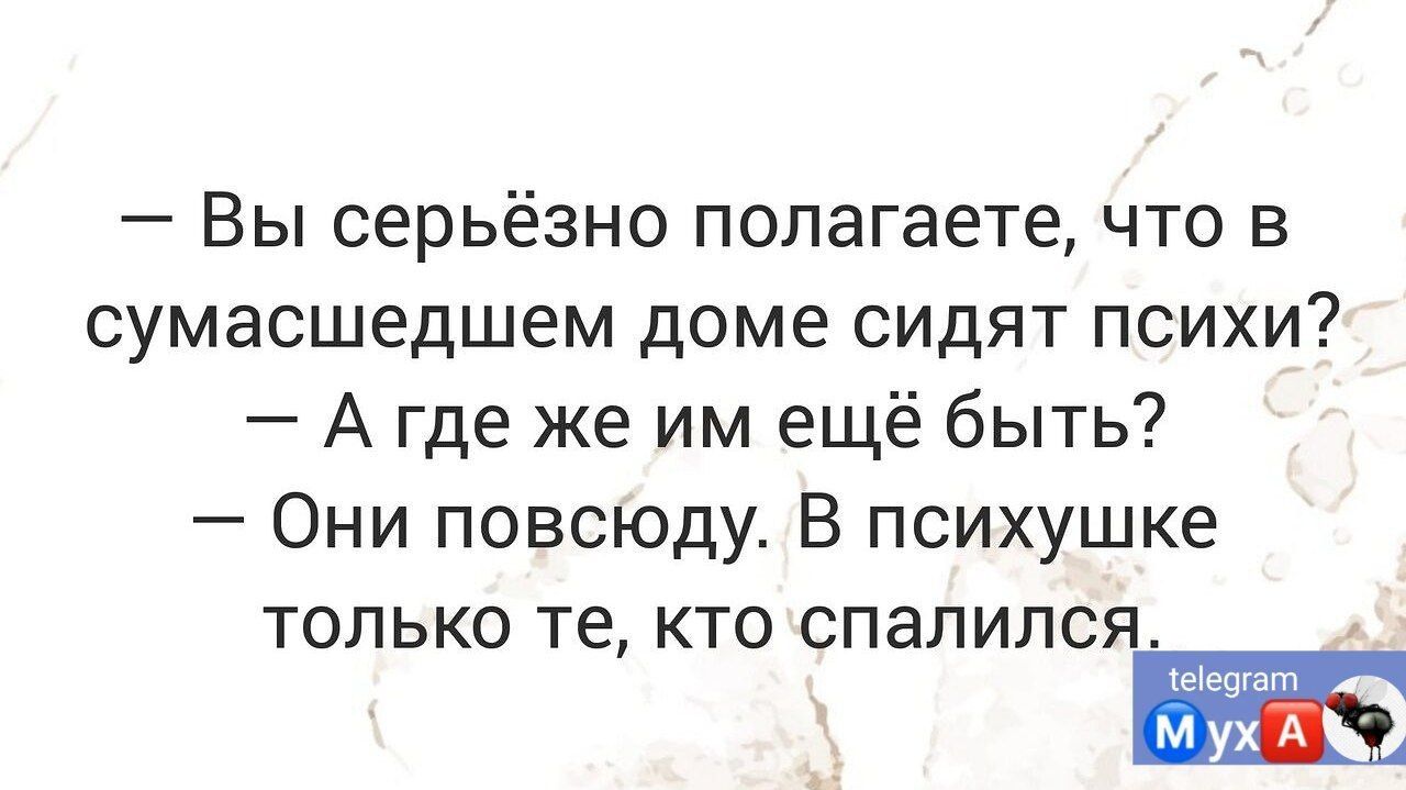 Вы серьёзно полагаете что в сумасшедшем доме сидят психи А где же им ещё быть Они повсюду В психушке только те кто спалился к мухА