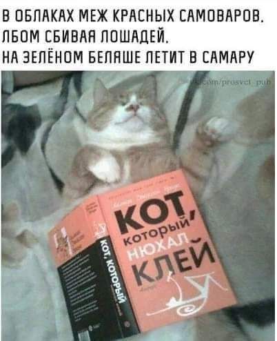 В ОБЛАКАХ МЕЖ КРАСНЫХ САМОВАРОЕ ПБОМ СБИБАН ЛОШАДЕЙ НА ЗЕЛЁНОМ БЕППШЕ ПЕТИТ В САМАРУ