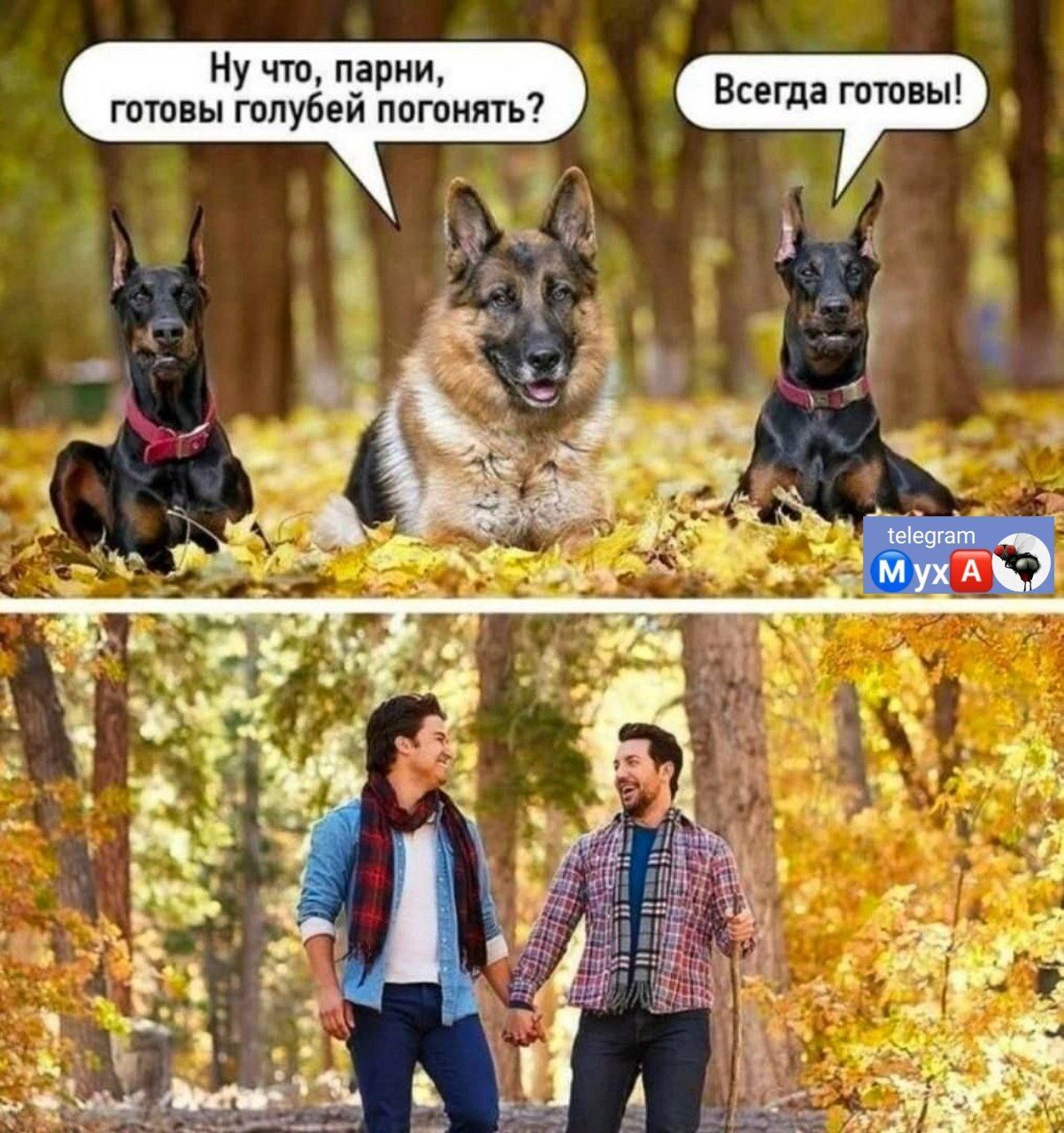 Всегда гптиы и ппгпипть7 Ну что др или гопубе