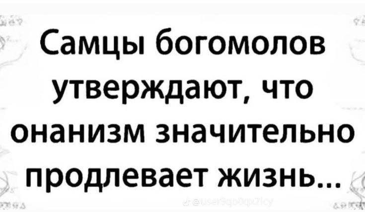 Самцы богомолов утверждают что онанизм значительно продлевает жизнь