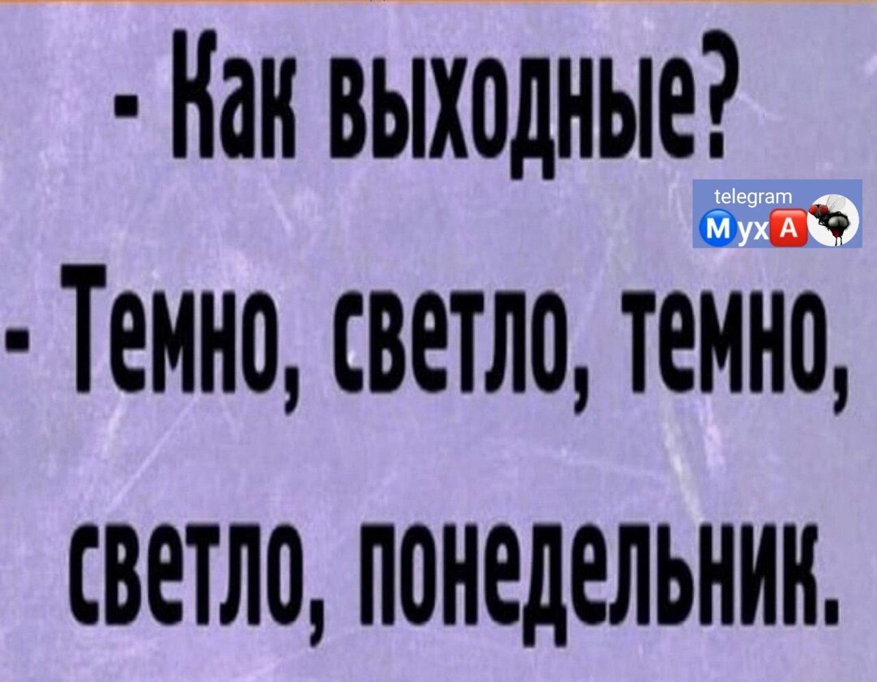 Нан выходные О Й Темно светло темно светло понедельник