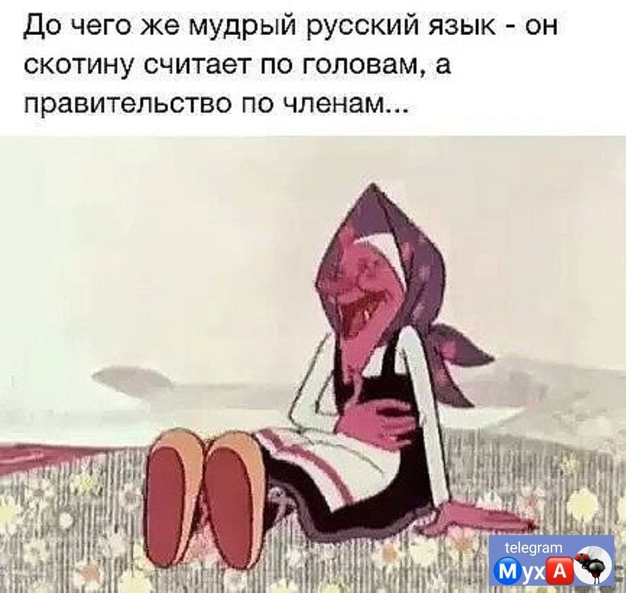 до чего же мудрый русский язык он скотину считает по головам в правительство по членам