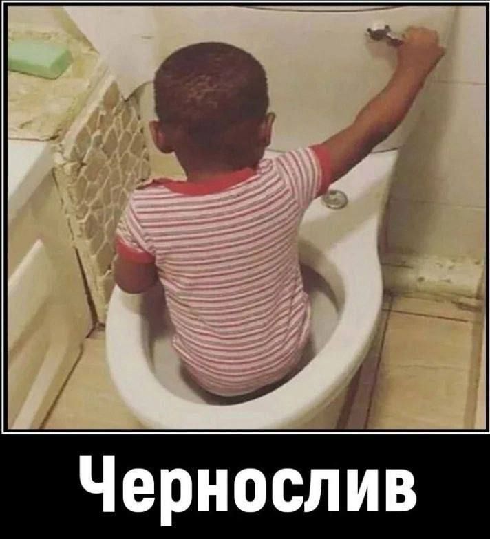 Чернослив
