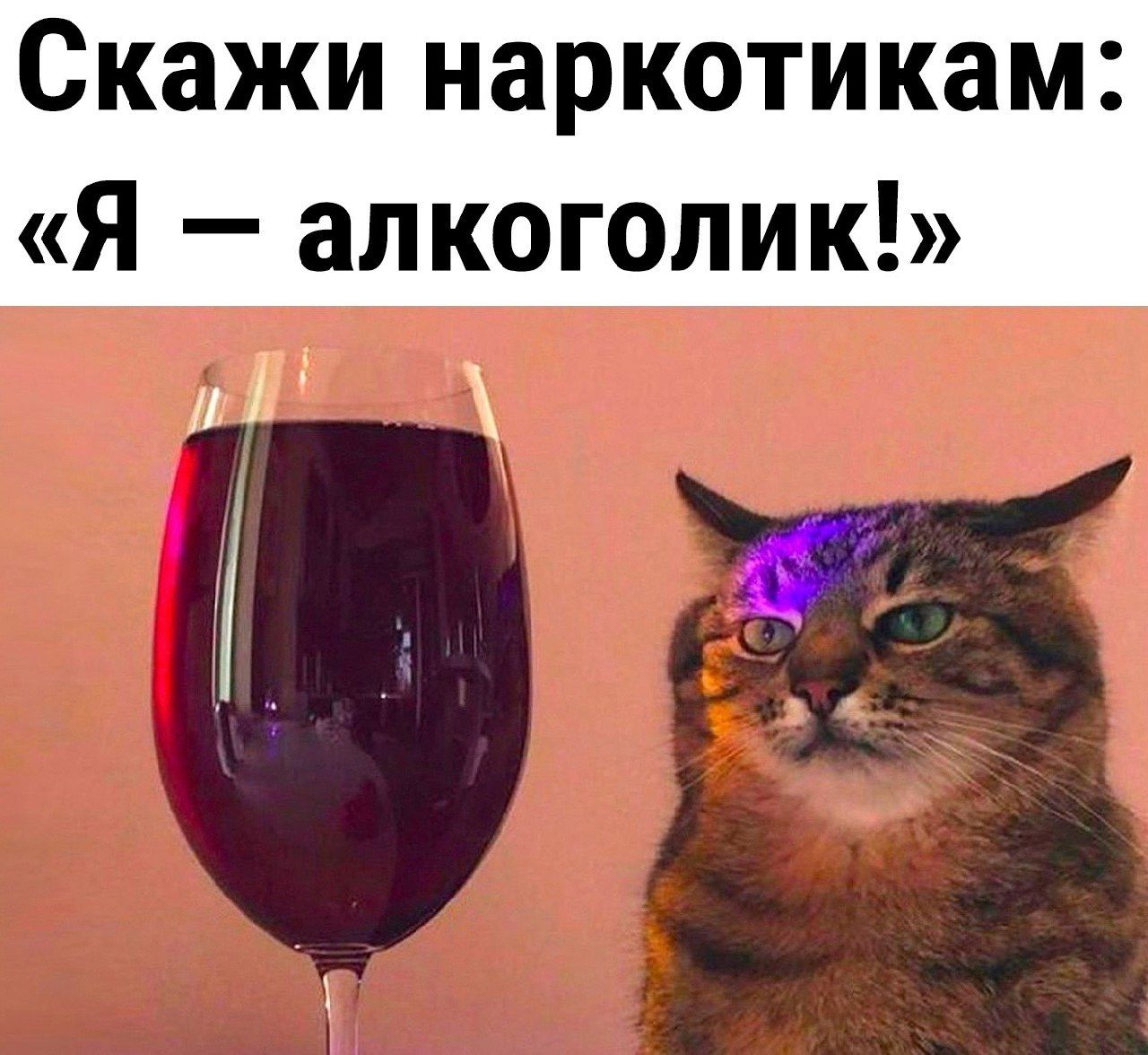 Скажи наркотикам Я алкоголик и 4