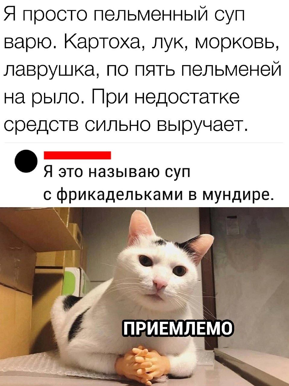 Я просто пельменный суп варю Картоха лук морковь лаврушка по пять пельменей на рыло При недостатке средств сильно выручает Я это называю суп с фрикадельками в мундире