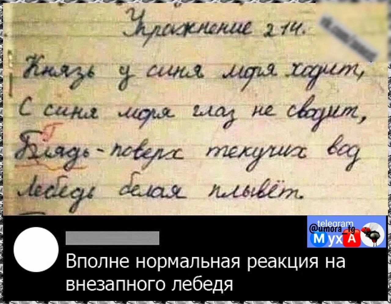 Зуджили ш щ итдщ С 654 тд и и 0407 1 11 27 ВПОПНЭ Нормальная реакция на внезапного лебедя