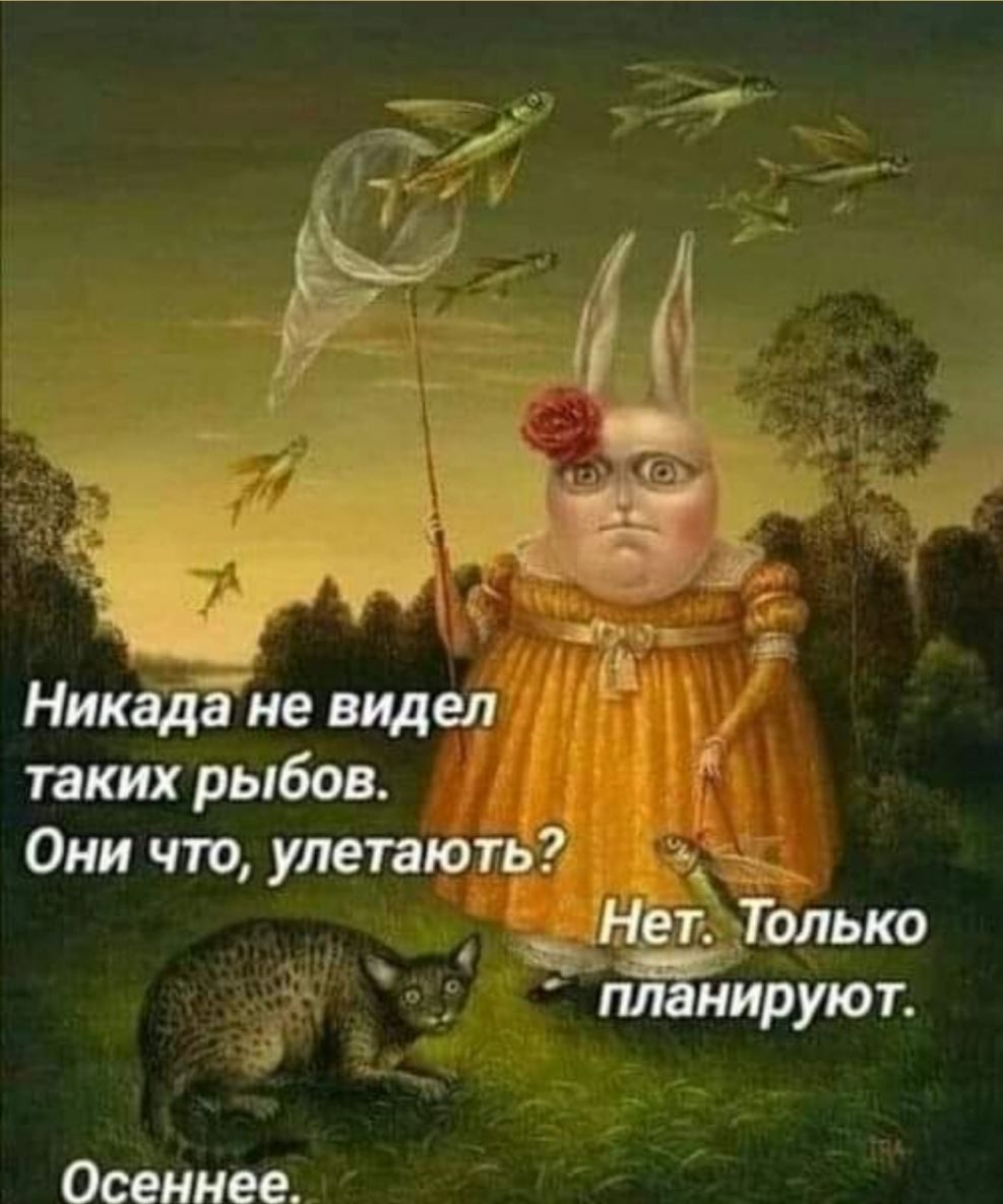 в 5 Никадёне видел таких рыбов Они что улетають _ Нет Только ПЙшруют
