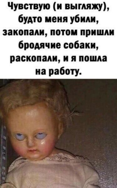 Чувствую и выгляжу будто иеия убили закопали потоп пришли бродячие собаки раскопали и я поща на работу