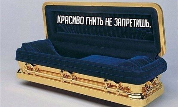 КРАСИВО ГНИТЬ НЕ ЗАПРЕТИШ