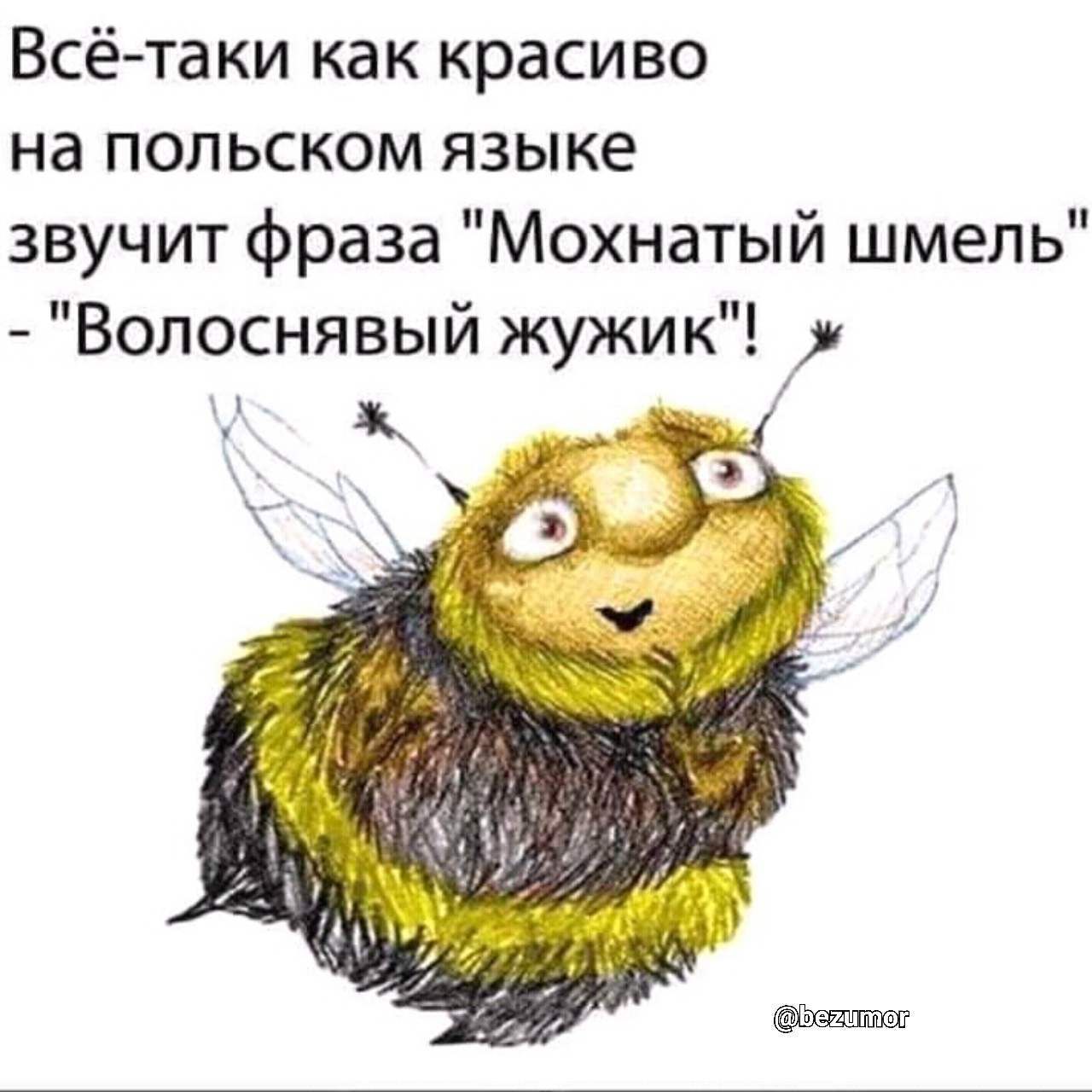 Как звучит фраза