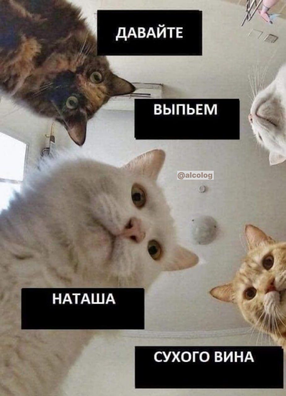 НАТАША А сухого ВИНА