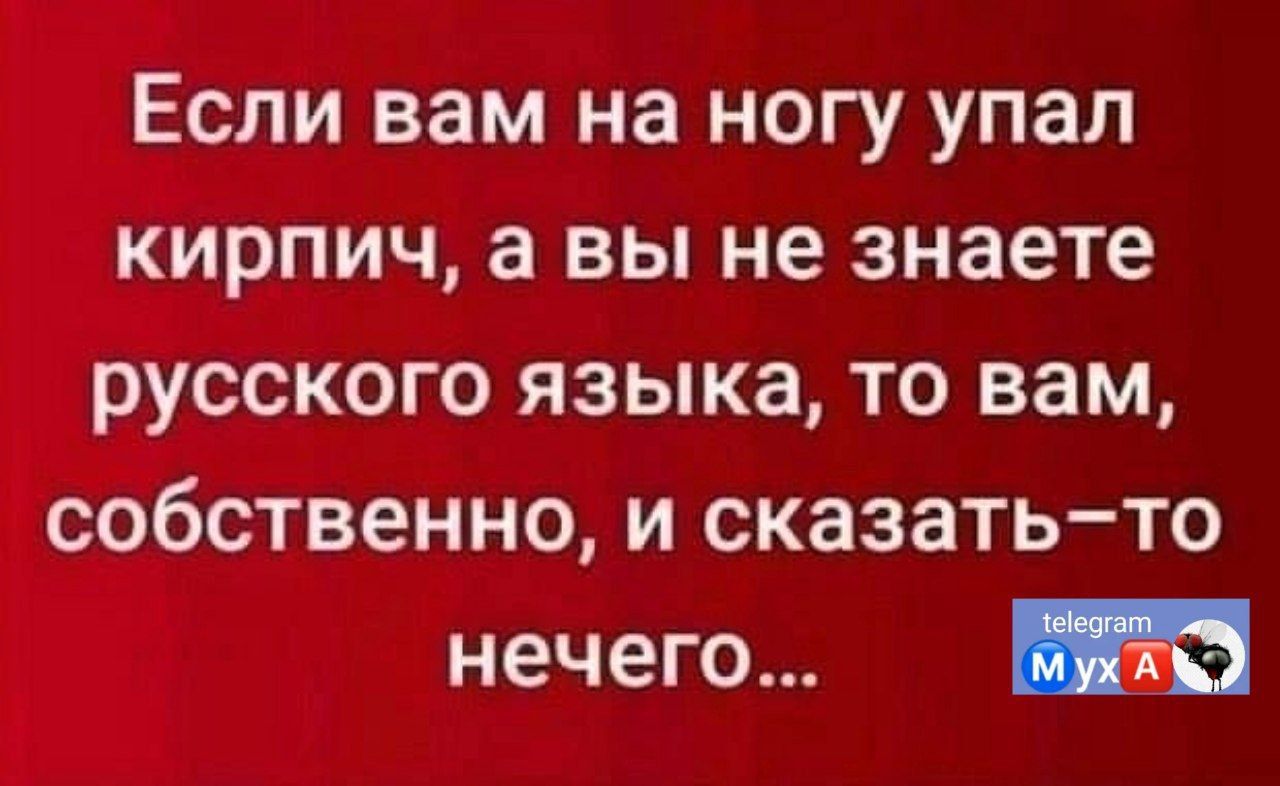 Если вам на ногу упал кирпич а вы не знаете русского языка то вам собственно и сказатьто нечего