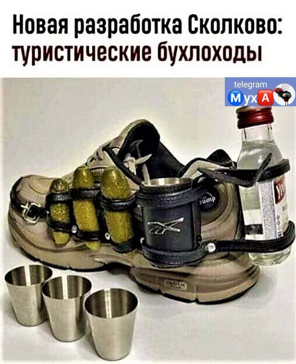 Новая разработка Сколково туристические бухлоходы