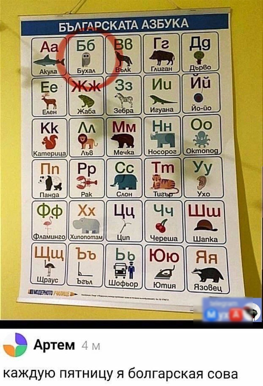 КЗЖДУЮ ПЯТНИЦУ Я болгарская СОВЗ