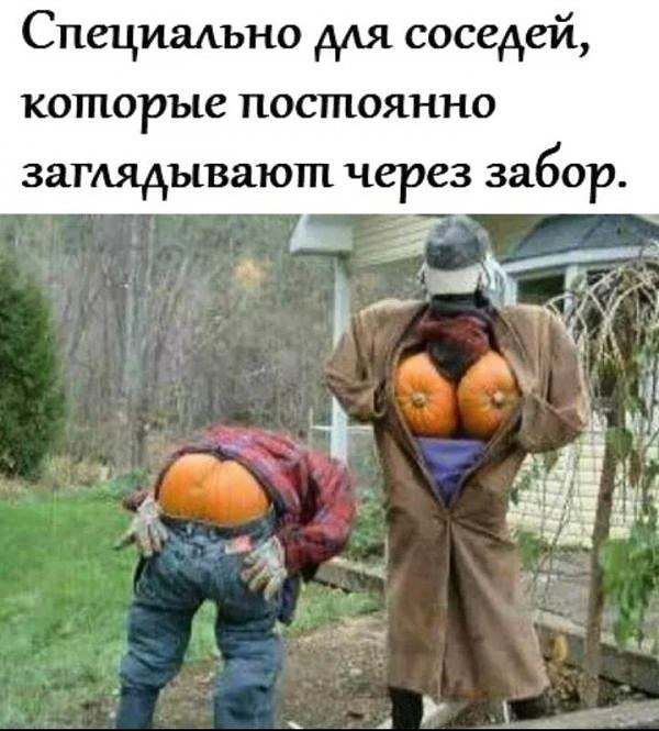 Специишие ААЯ соседей которые постоянно затядывают через забор