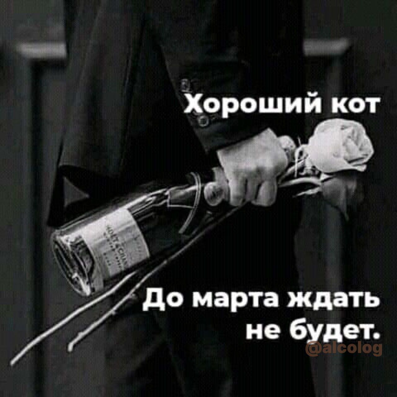 Хороший кот дДЁЁ7ЁДЁ