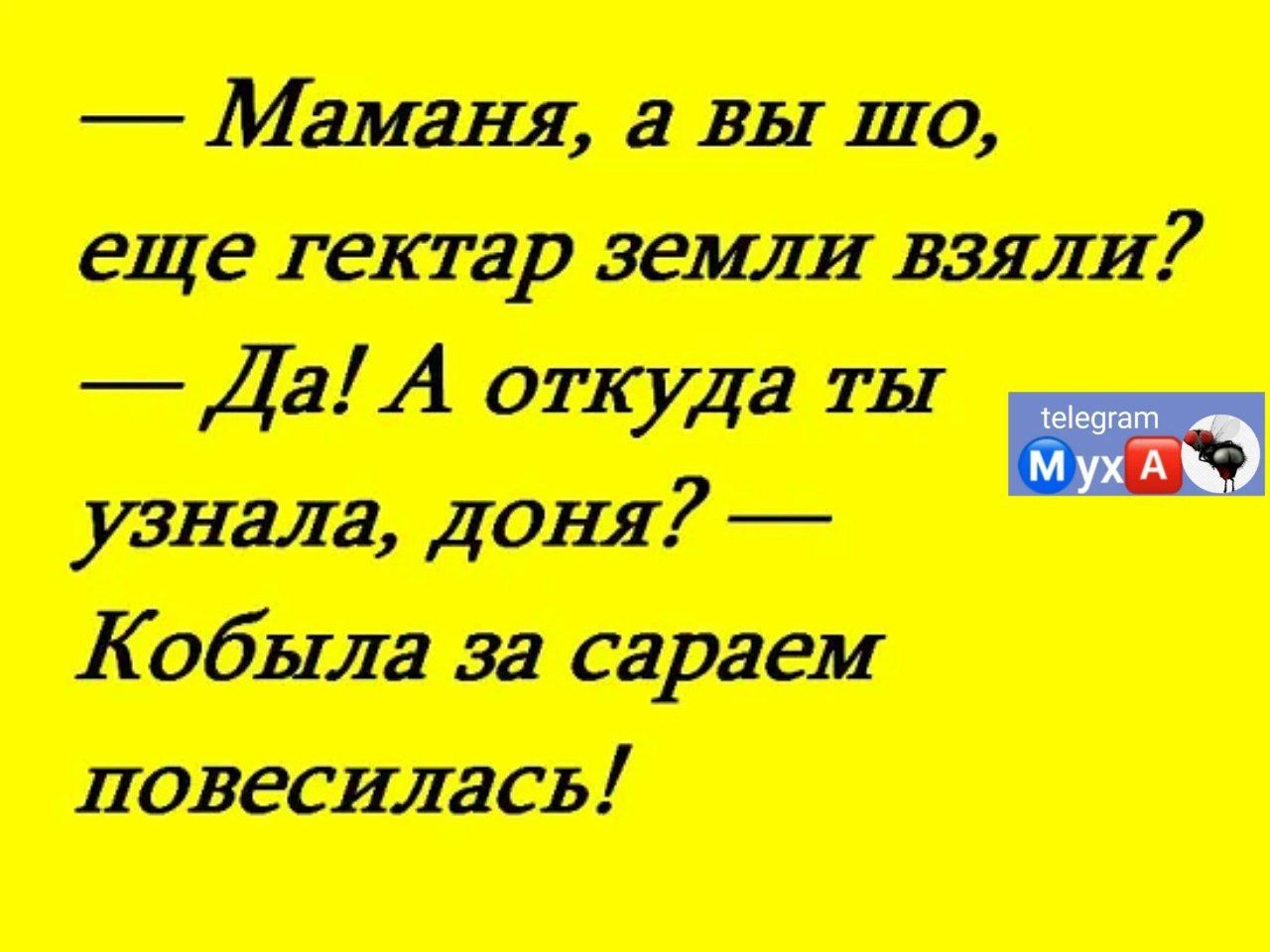 шц дино едет финт ддАт 7 _ Кошки
