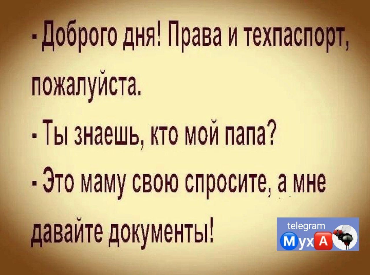 Права и техпас пожалуйста Ты знаешь кто мой папа Это маму свою спросите а мне вайт документы Ё