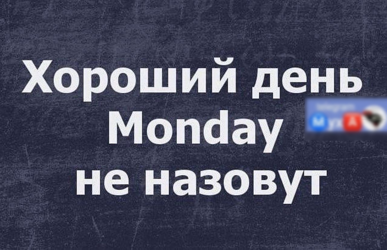 Хороший день Мопсау не назовут