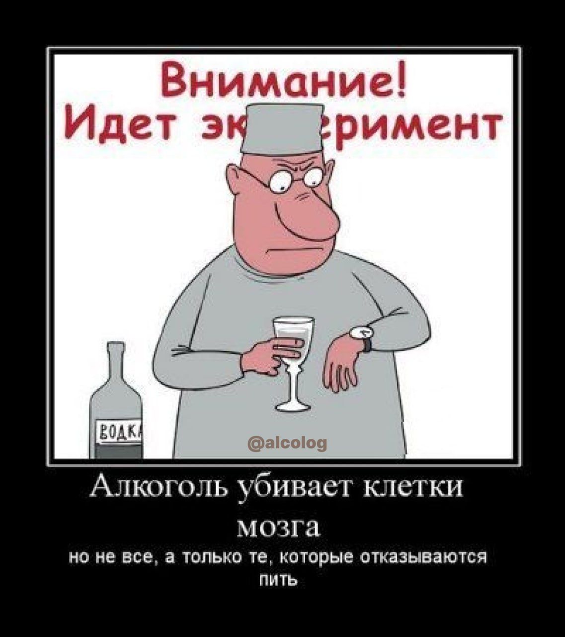 АЛКОГОЛЬ УБИВЦСТ КЛСТКН МОЗГИ но не вц галька щ котрые огкязыватся тпь