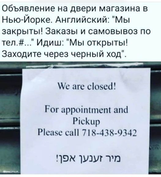 Объявление на двери магазина в Нью Йорке Английский Мы закрыты Заказы и самовывоз по тел Идиш Мы открыты Заходите через черный ході Мс цгс сіозса Рог арроіттст ат Рісішр Ріснзс сн 7 8 4ЗК9342 9К1У1УГТП