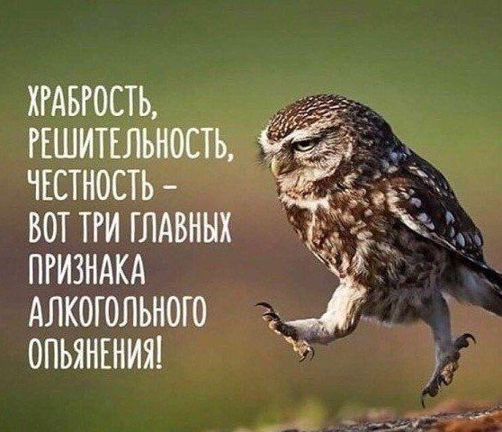 ХРАБРОСТЬ РЕШИТЕЛЬНОСТЬ ЧЕСТНОСТЬ ВОТ ТРИ ГЛАБННХ ПРИЗНАКА АЛКОГОЛЬНОГО ОПЬЯНЕНИЯ ___
