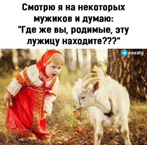 Смотрю я на некоторых мужиков и думаю Где же вы родимые эту лужицу находите