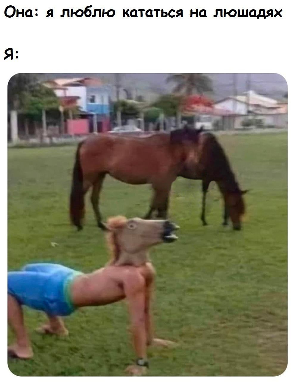 Она я люблю кататься на люшадях