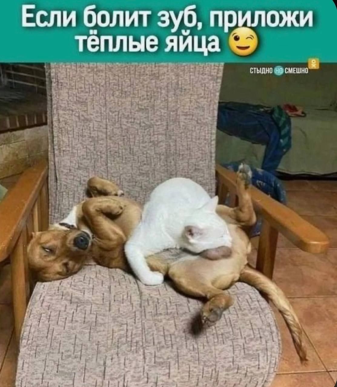 Если олит аур пр тёплые яйца