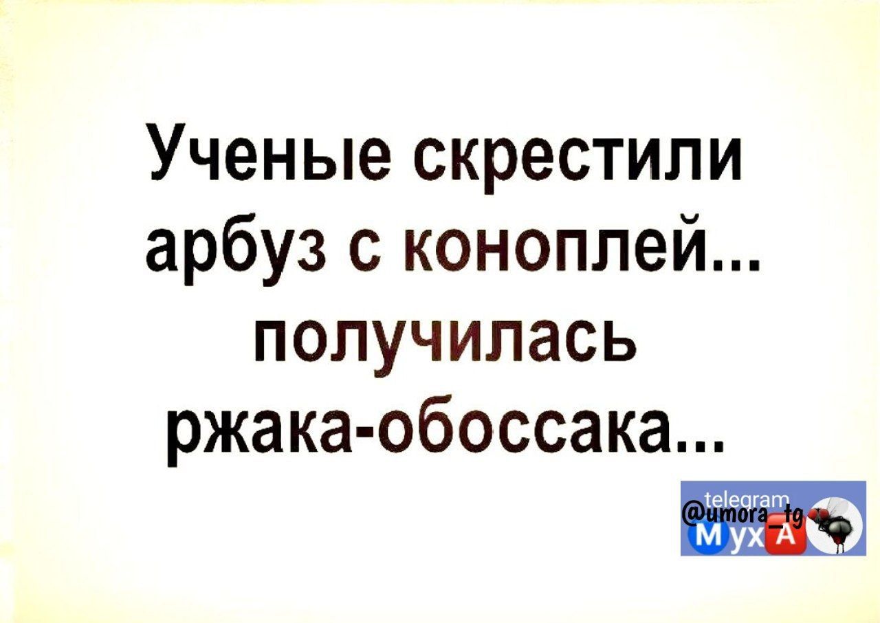 Ученые скрестили арбуз с коноплей ПОЛУЧИПЗСЬ ржака обоссака