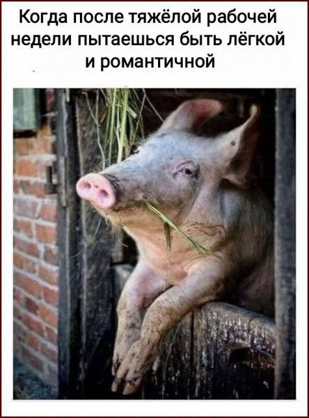 Когда после тяжёлой рабочей недели пытаешься быть лёгкой и романтичной