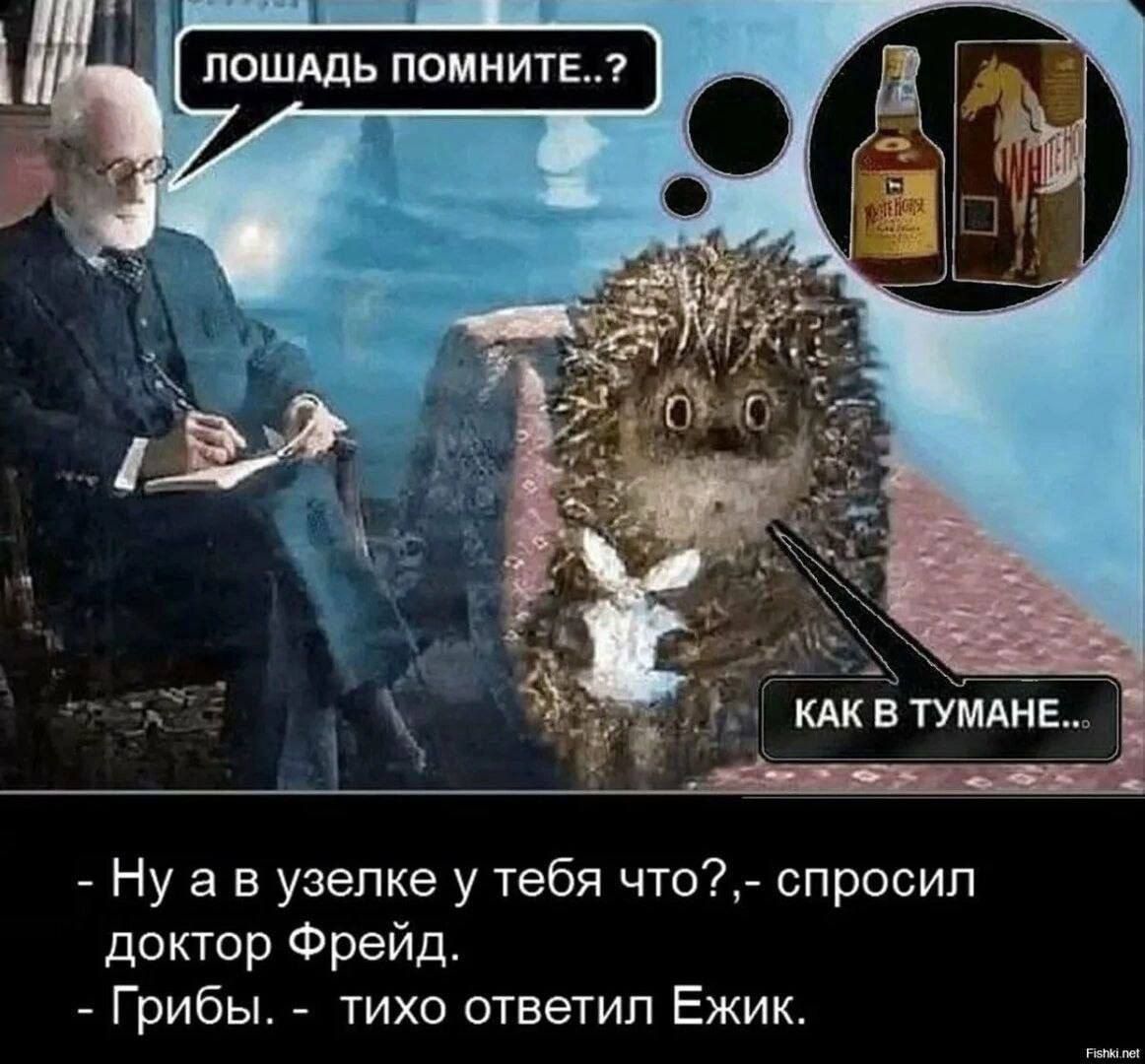 Ну а в узепке у тебя что спросил доктор Фрейд Грибы тихо ответил Ежик