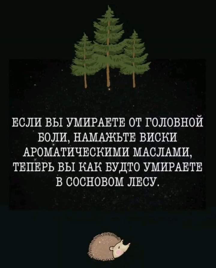 ЕСЛИ ВЫ УМИРАЕТЕ ОТ ГОЛОВНОЙ БОЛИ НАМАЖЬТЕ ВИСКИ АВОЩТИЧЕСКИМИ МАСЛАМИ ТЕПЕРЬ ВЫ КАК БУДТО УМИРАЕТЕ В СОСНОВОМ ЛЕСУ