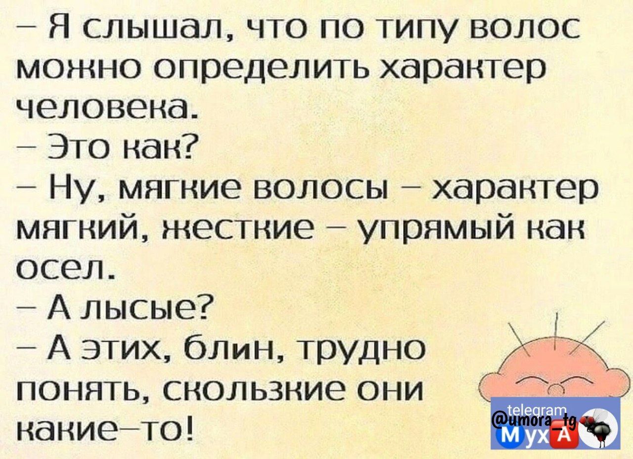 Я слышал что по типу волос можно определить характер человека 7 Это как Ну мягкие волосы характер мягкий жесткие упрямый как осел А лысые А этих Один трудно 7_ понять скользкие они накиейто