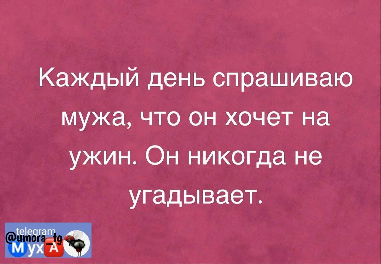 Каждый день спрашиваю мужа что он хочет на ужин Он никогда не угадывает