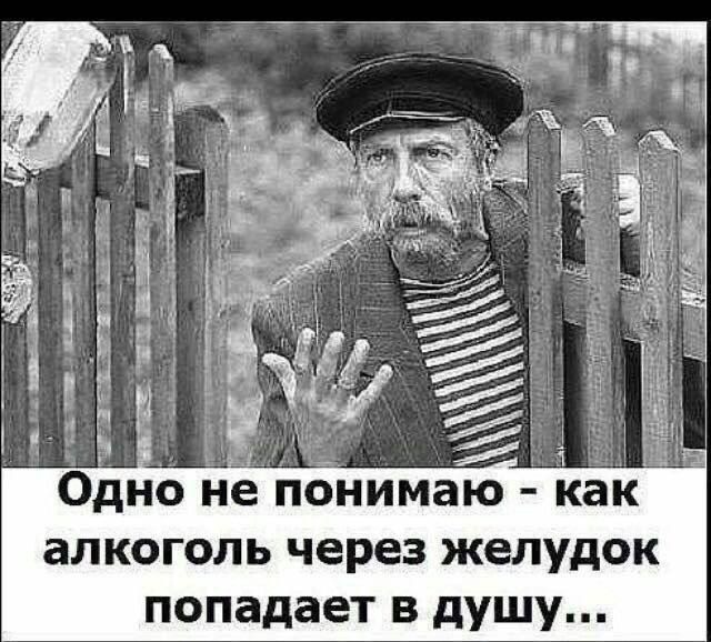 Одно не пбнимаю как алкоголь через желудок попадает в душу