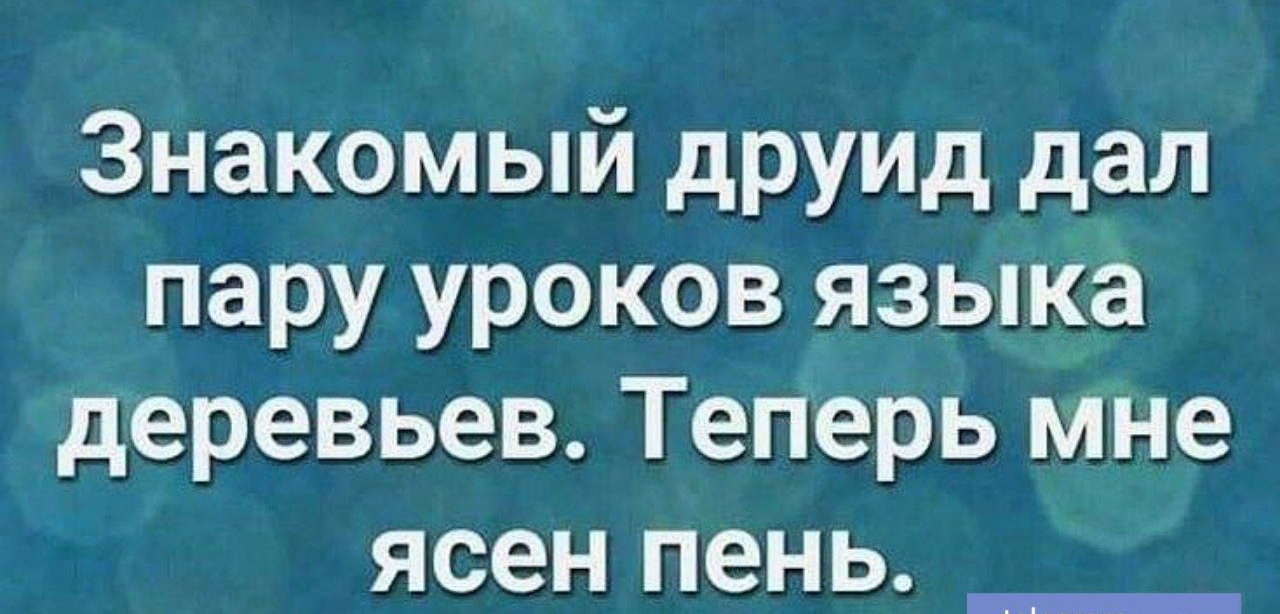 Знакомый друид дал пару уроков языка деревьев Теперь мне ясен пень