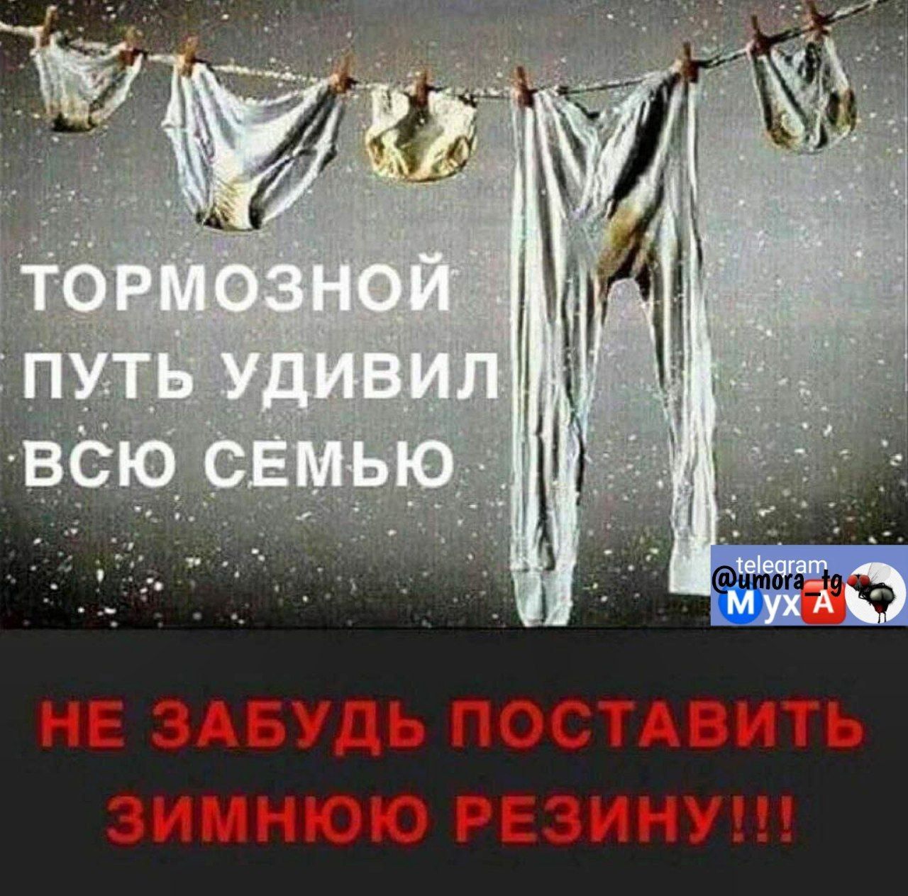Ні ЗАБУДЬ ПОСТАПИТЬ ЗИИНЮЮ РЕЗИМУ