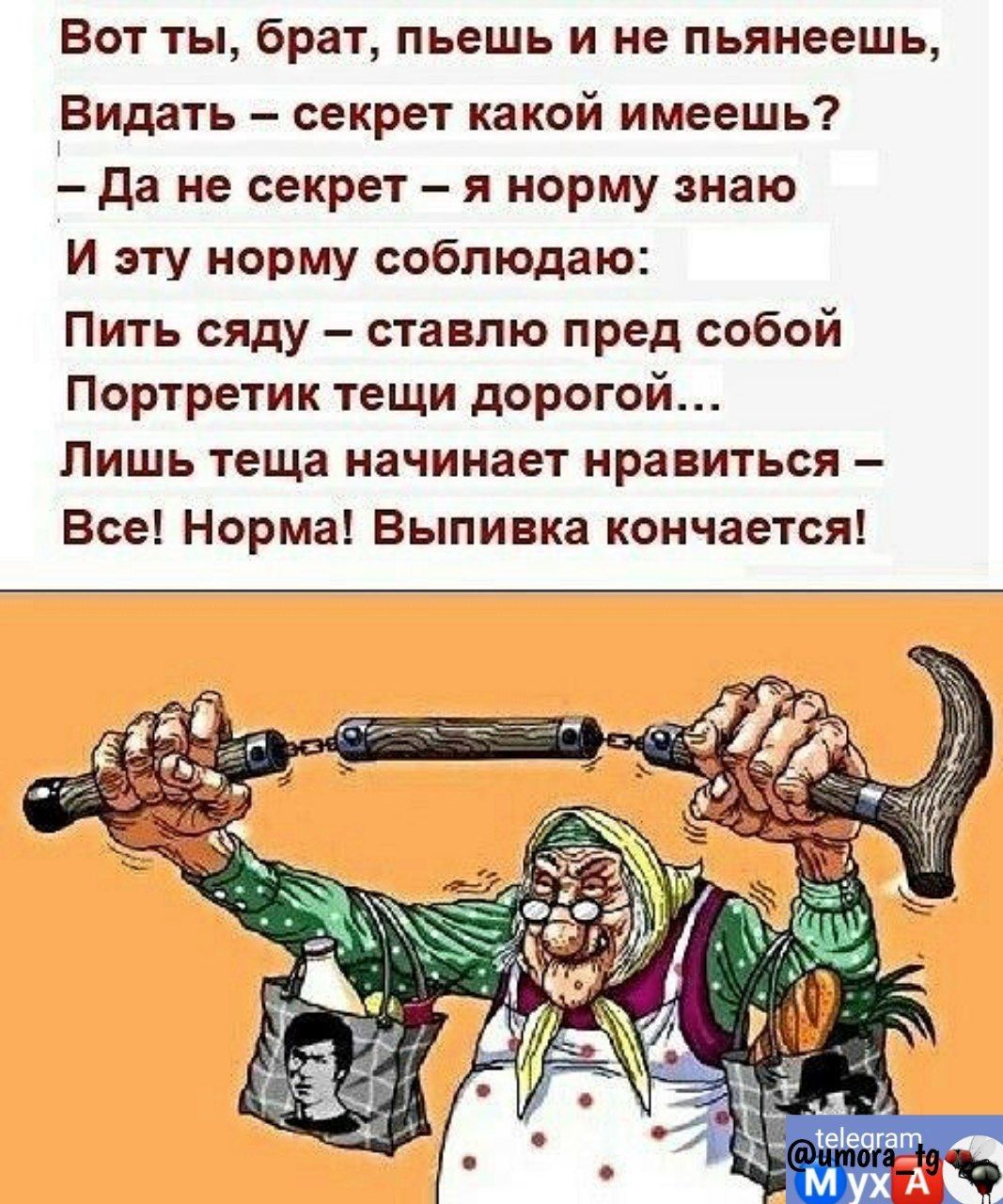 Вот ты брат пьешь и не пьянеешь Видать секрет какой имеешь да не секрет я норму знаю И эту норму соблюдаю Пить сяду ставлю пред собой Портретик тещи дорогой Лишь теща начинает нравиться Все Норма Выпивка кончается м хА _