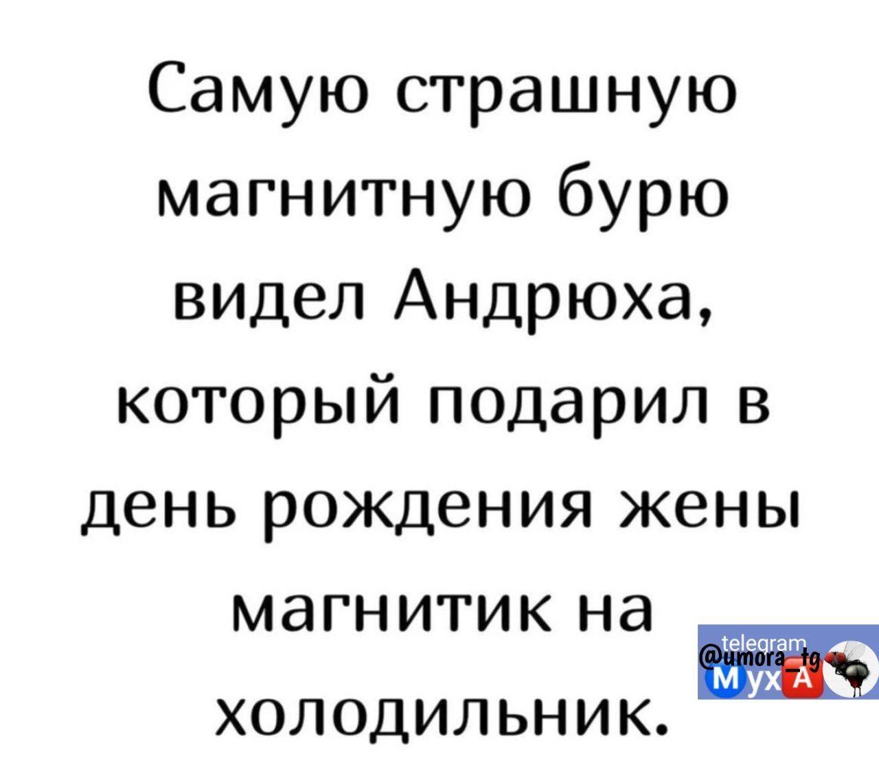 Самую страшную магнитную бурю видел Андрюха который подарил в день рождения жены магнитик на ты мн_ холодильник