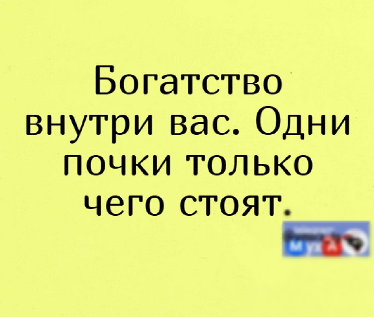 Богатство внутри вас Одни почки только чего стоят питт М А