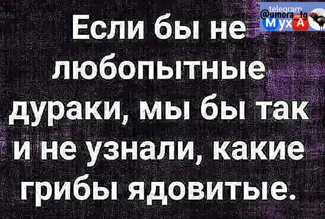 Если бы неё любопытныедм дураки мы бы так ине узнали какие грибы ядовитые