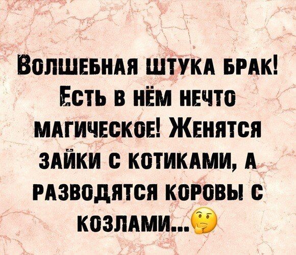 Вопшвьндя штуки БРАК Есть в нём нечто мдгическов Жвнятся здйки котикдми А изводятся коровы козпдмиб