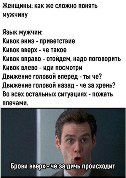 Женщины как же сложно понять мужчину Язык мужчин Кивок вниз приветствие Кивок вверх че такое Кивок вправо отойдем надо поговорить Кивок влево иди посмотри движение головой вперед ты че движение головой назад че за хрень Во всех остальных ситуациях пожать плечами Брови вверх че за дичь происходит