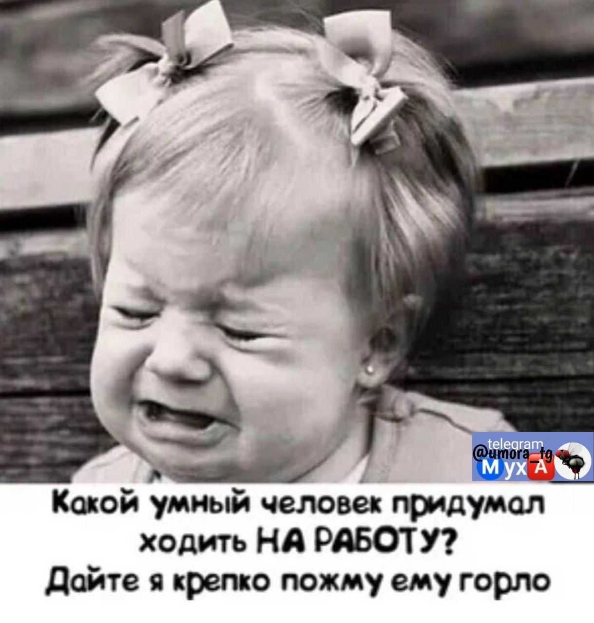 Какой умный четвё придумал ходить НА РАБОТУ дайте крема пожму ему горло